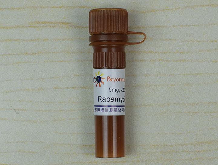 Rapamycin (FRAP/mTOR抑制剂)